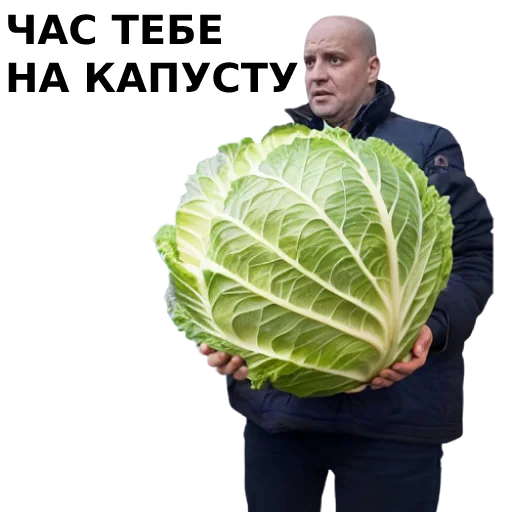 Стикер karabaras - 1