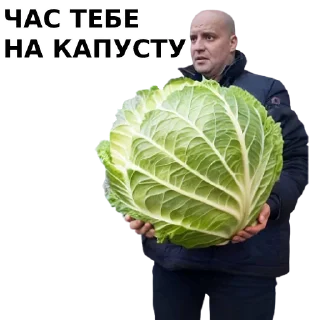 Стикер konyaki - 2