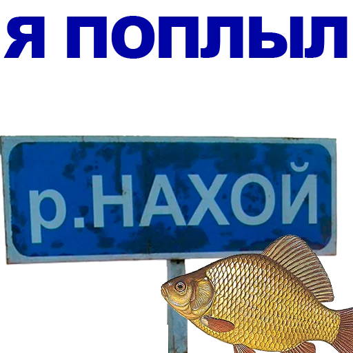 text fish animal