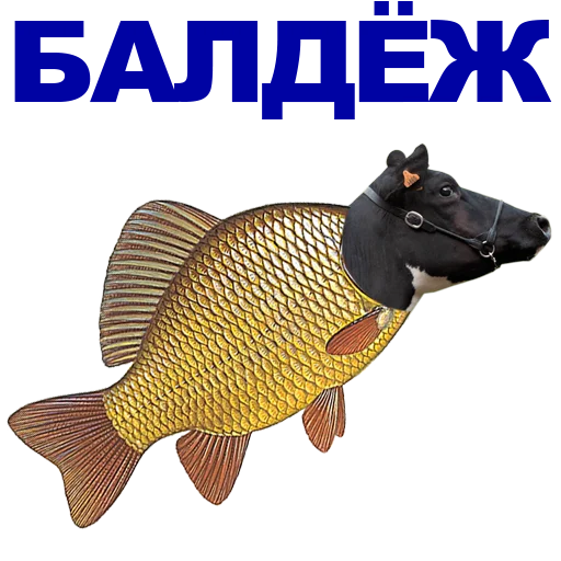 рыба СМС животное