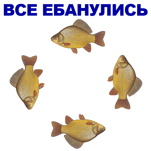 животное рыба организм