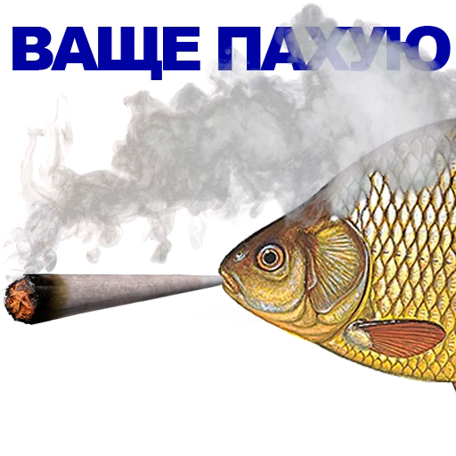 text cloud graphic design