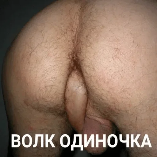 Стикер каравай :: @fStikBot - 2