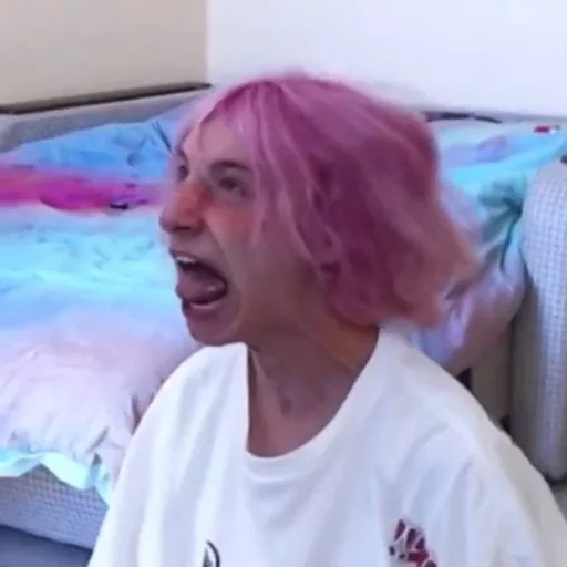 Человек человеческое лицо комнатный