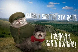 Стикер @karga4 - 2