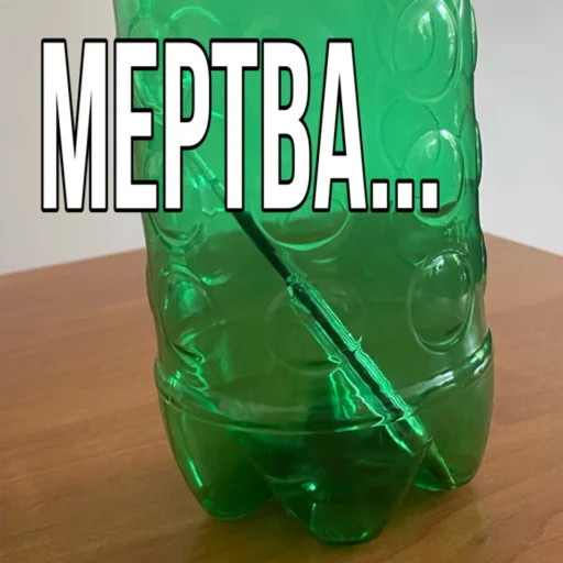 Sticker karp_iki - 1