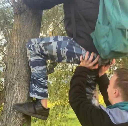 Sticker karp_iki - 1