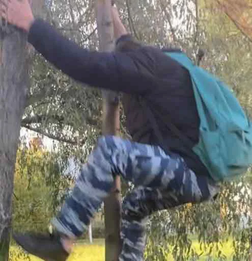 Sticker karp_iki - 1