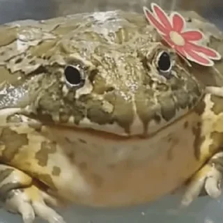 Sticker Pack by @pshchk - 2