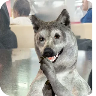 Sticker касанов - 4