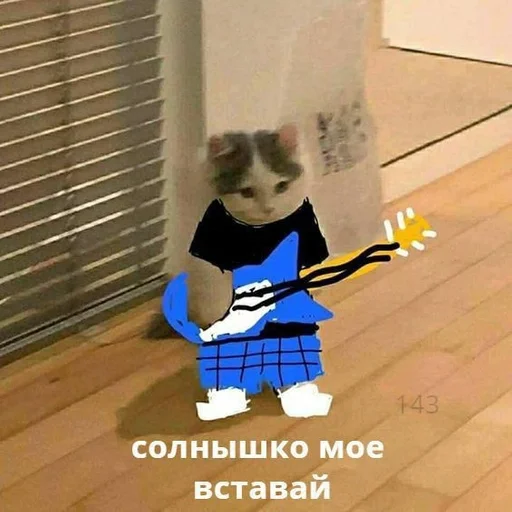 млекопитающее кошка животное