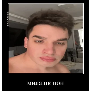 Sticker katansky_pon - 8