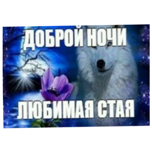 катя самая лучшая - 