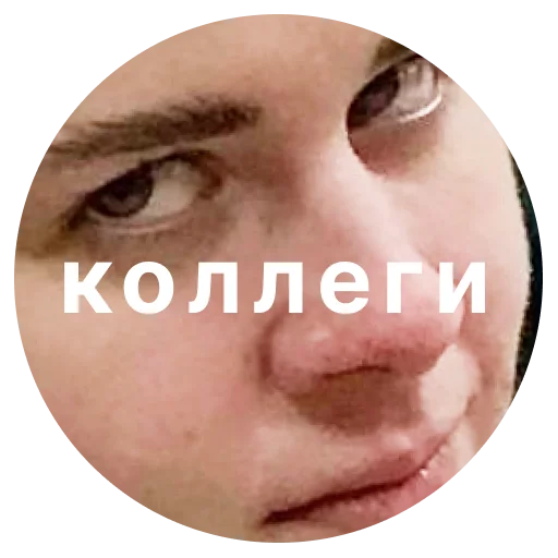 Sticker katekornieko - 1