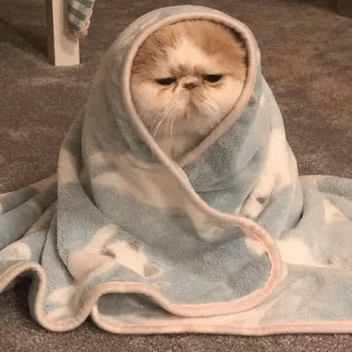 Sticker катёнки - 0