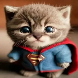 Стикер катяры - 6