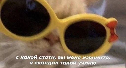 accessory spectacles goggles