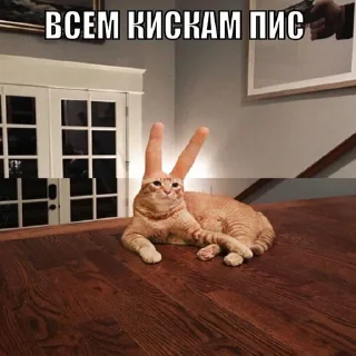 Дижитал - животное