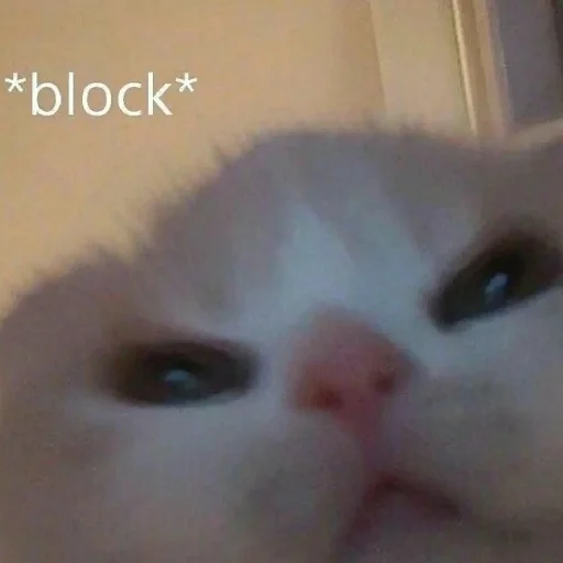 катятачке - 