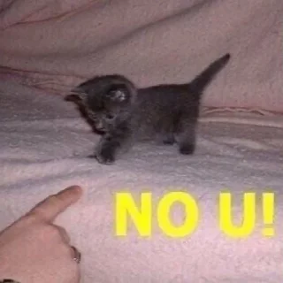 Sticker катятачке - 0