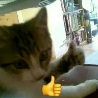 Sticker катятачке - 8