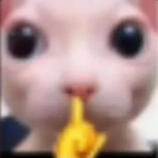 Sticker катятачке - 5