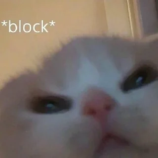 Sticker катятачке - 10