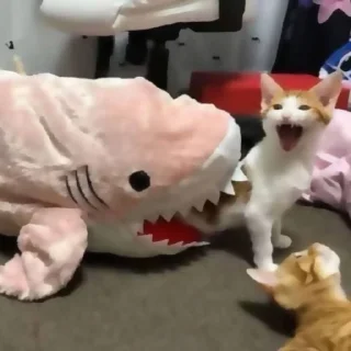 Sticker ✦ ָ ֙⋆ охуенныекоты by @paradoxstickers - 5