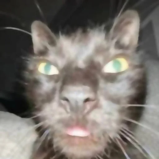 Стикер katybyparadox - 1