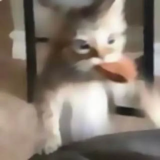 Стикер katybyparadox - 1