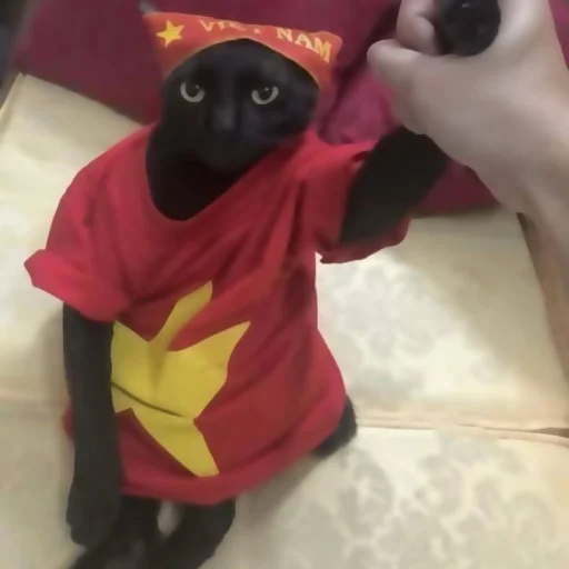 Стикер katybyparadox - 1