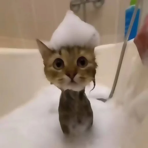 Sticker katybyparadox - 1