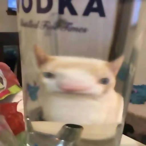 Sticker katybyparadox - 1