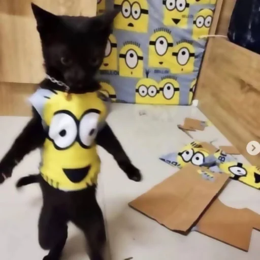 Sticker katybyparadox - 1