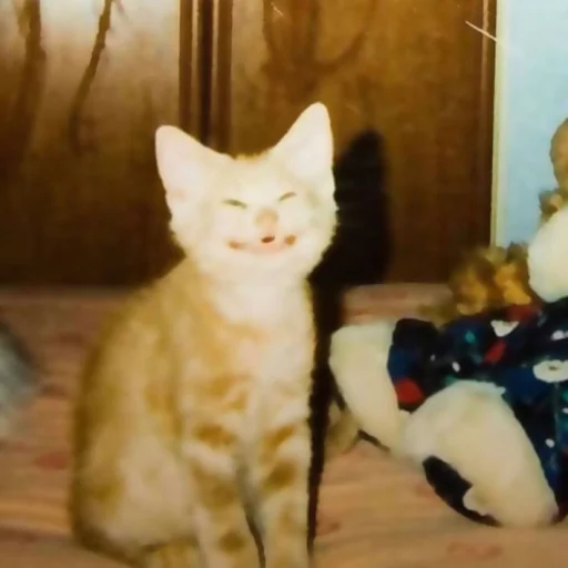 Sticker katybyparadox - 1