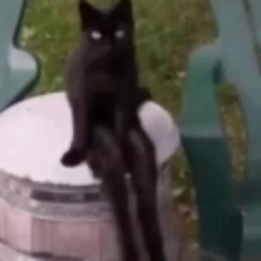 Sticker katybyparadox - 1