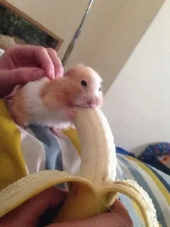 Стикер @stiki_tg_nah_canal - 7