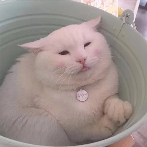 Sticker каво by @fStikBot - 11