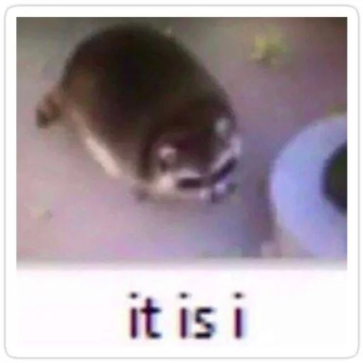 животное млекопитающее СМС