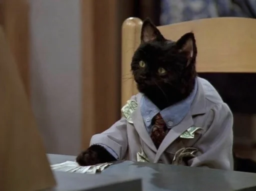 комнатный кошки малого и среднего размера кошачьи