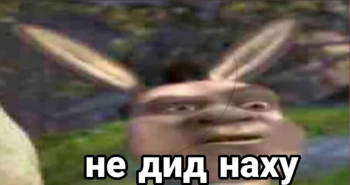 СМС млекопитающее на открытом воздухе