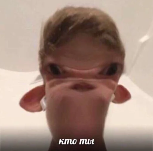 Человек комнатный