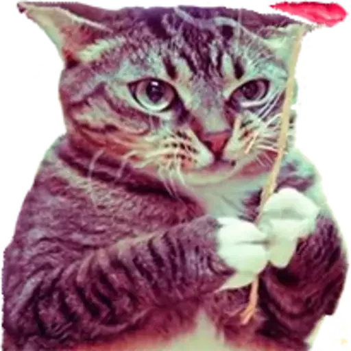 Стикер kazinag - 1