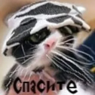 Sticker Сжимка - 1