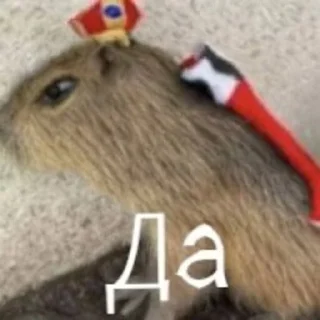 Sticker Сжимка - 9