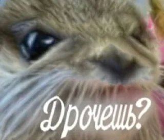 Sticker Сжимка - 6