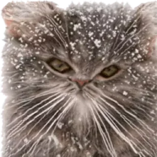 Sticker Сжимка - 4