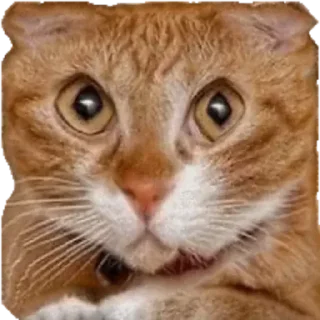 Sticker Сжимка - 2