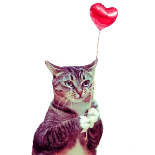 Sticker Сжимка - 0