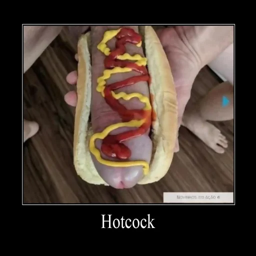 fast food hotdog dog
